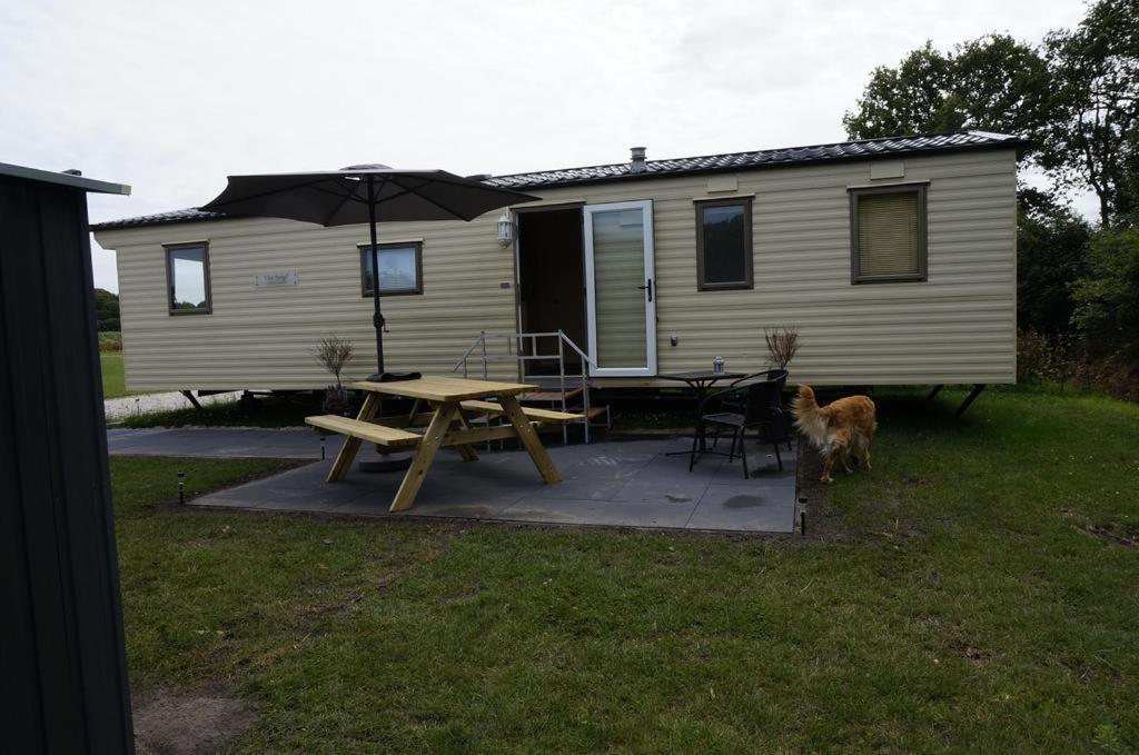 Weerribben Chalets Paasloo Exterior foto