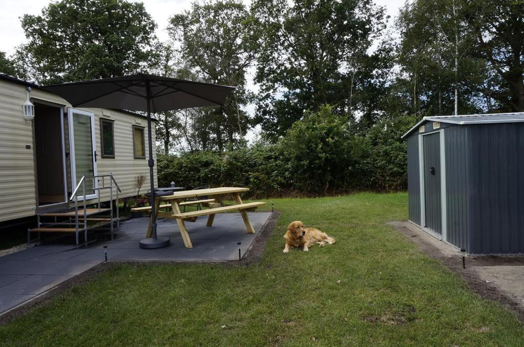 Weerribben Chalets Paasloo Exterior foto